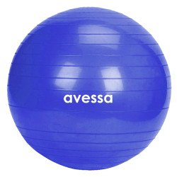 Avessa Bpt-75 Pilates Topu 75 Cm Mavi