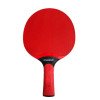 Avessa Rak-1200 Rubber PP Masa Tenisi Raketi Kırmızı