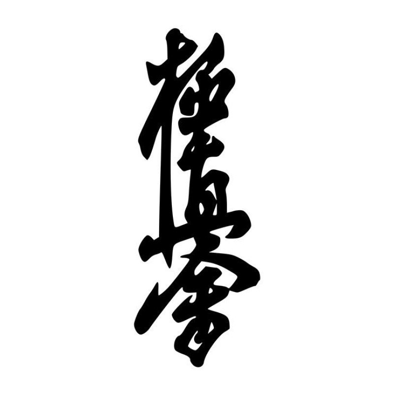 Dosmai Kyokushin Karate Elbisesi KA004